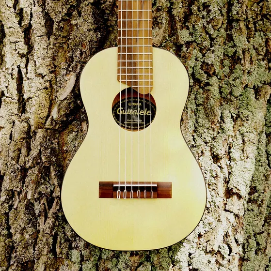 Kitarë akustike Yamaha FG800 me çantë
